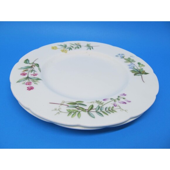 Minton Meadow Scalloped Set Of 2  Floral 7 1/2" Salad Plates VGC     1962-1970 - Picture 6 of 10